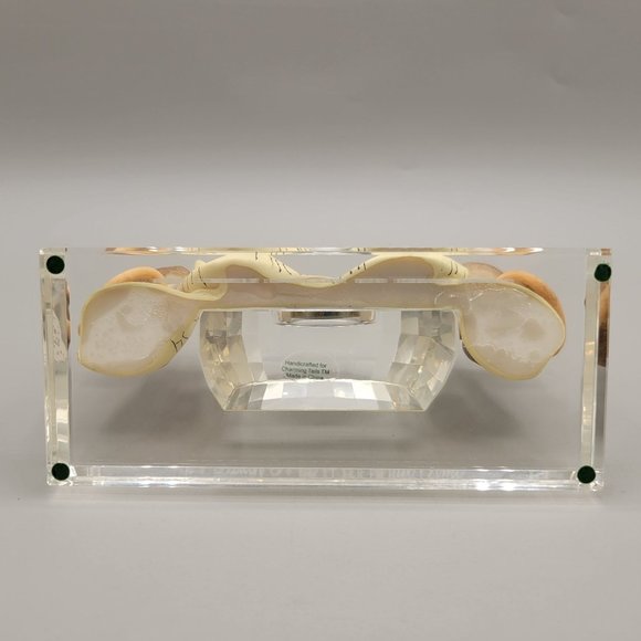 Charming Tails Clock Figurine So Much To Do So Little Time 97/140 Member Excl - Picture 8 of 9